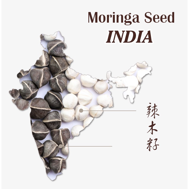 Moringa seed 250g Product of India — view 6
