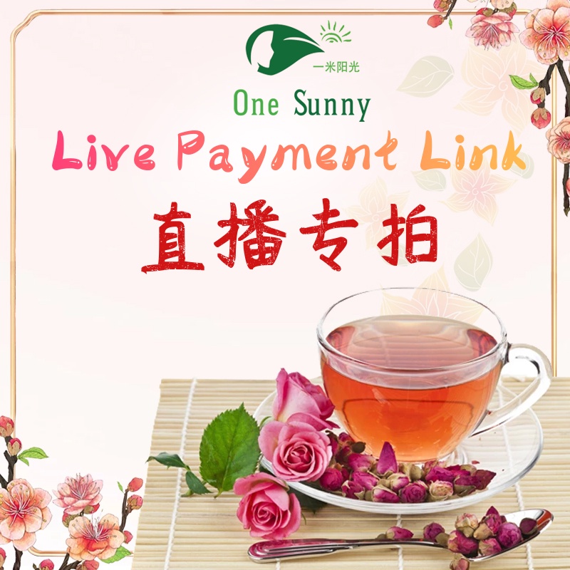 Live Stream Payment Link — view 3