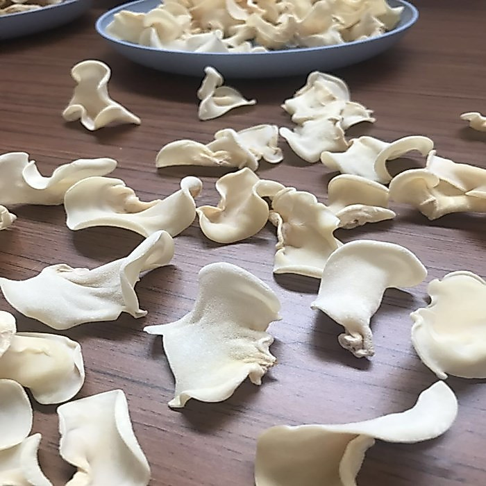 [ Selected Grade] Wild White Fungus 125g — view 4