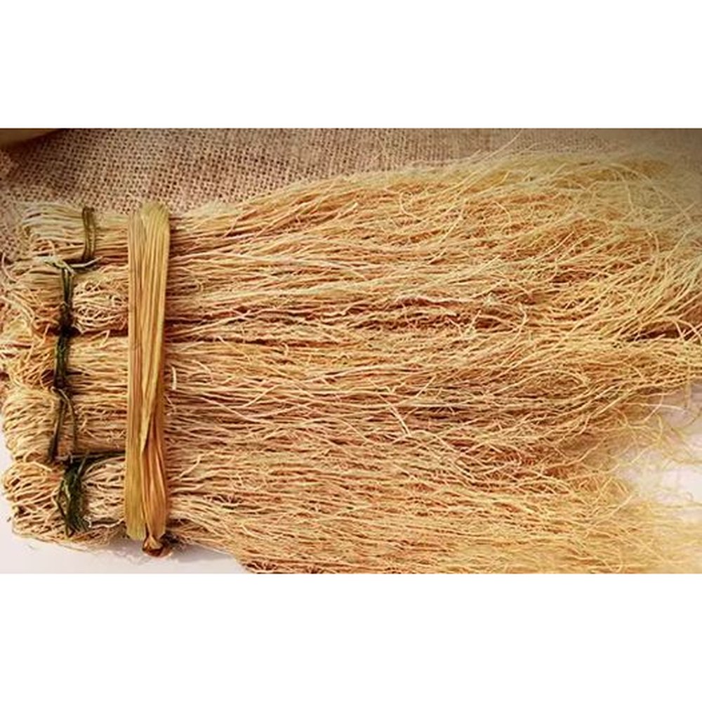 Tylophora Ovata 100g — view 2