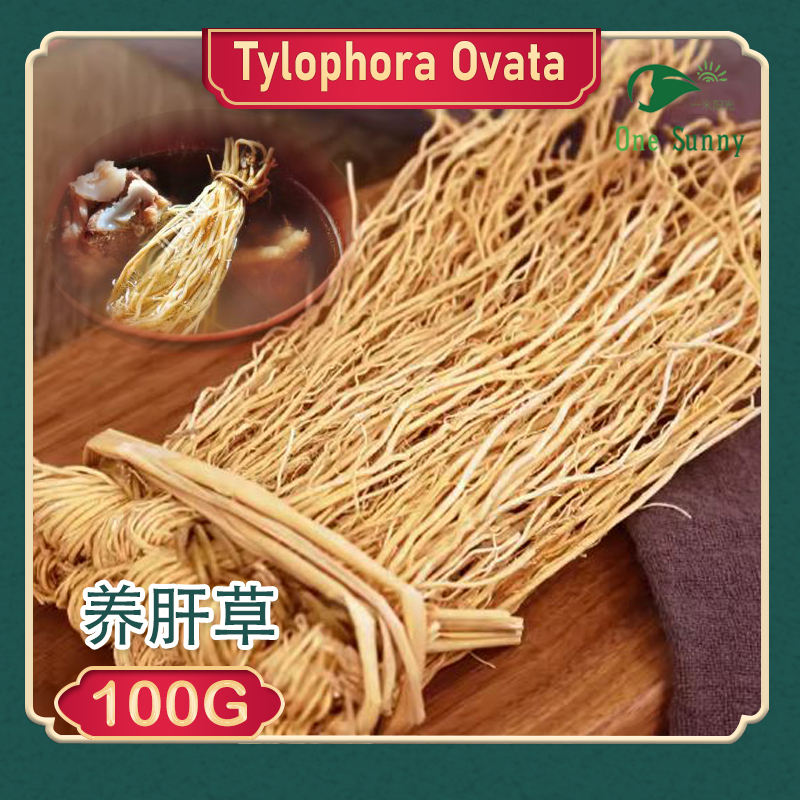 Tylophora Ovata 100g — view 3