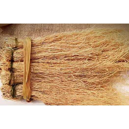 Tylophora Ovata 100g — view 5