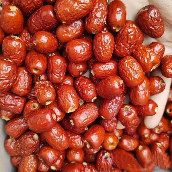 Xin Jiang Premium Red Dates Seedless 500g — view 5