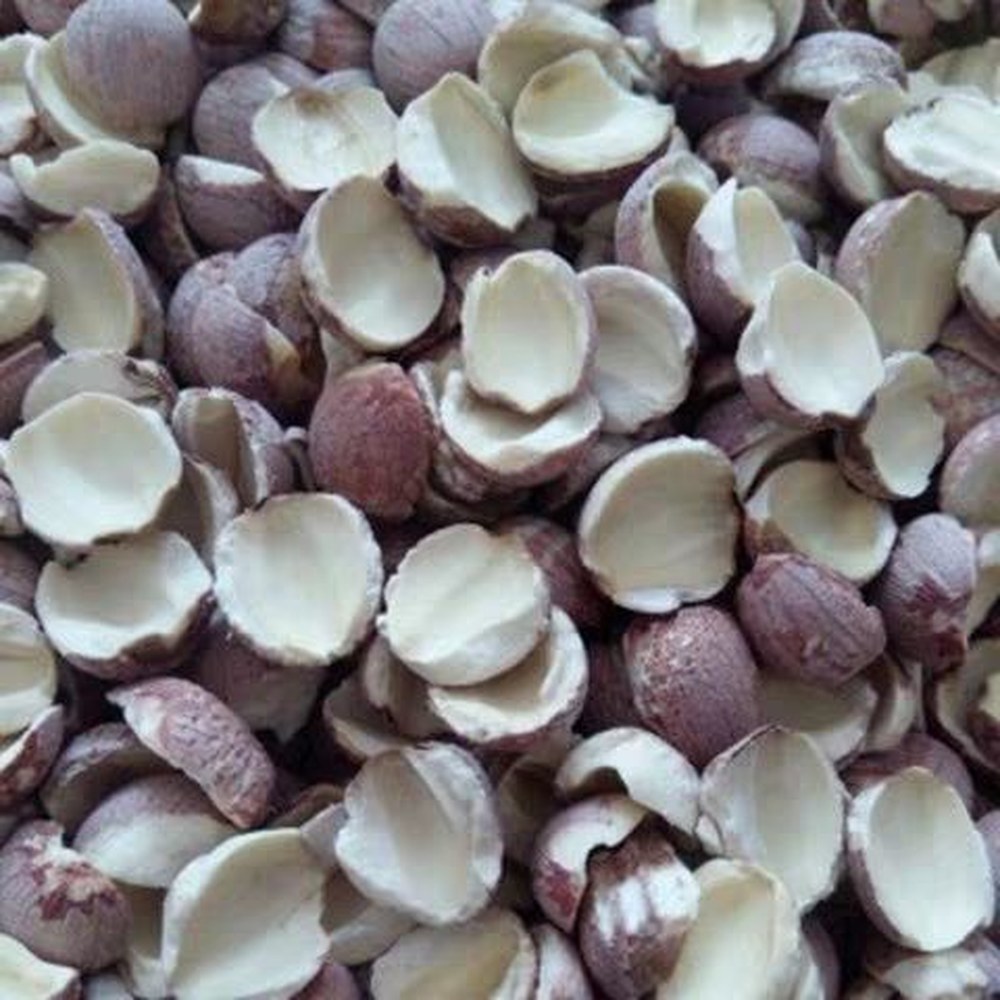 Lotus Seeds 500g — view 2