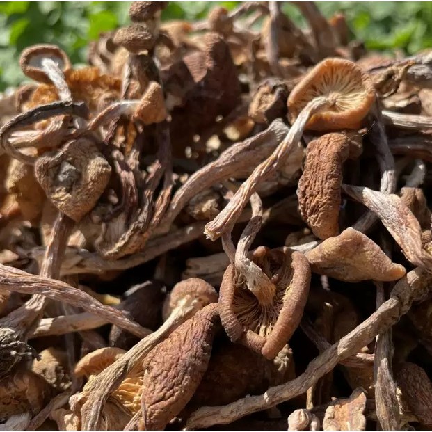 Wild Mushroom 200g — view 3