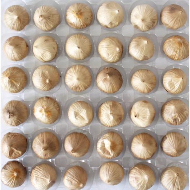 Fermented Black Garlic 500g — view 5