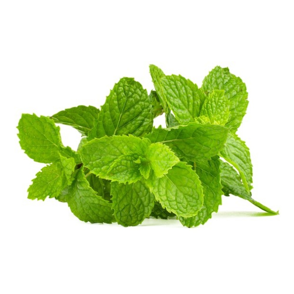 Mint Powder 150g — view 2