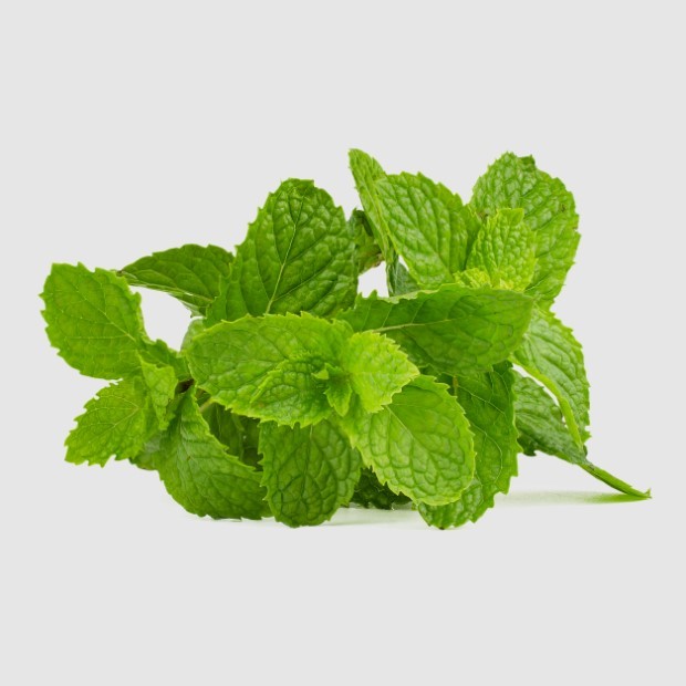 Mint Powder 150g — view 5