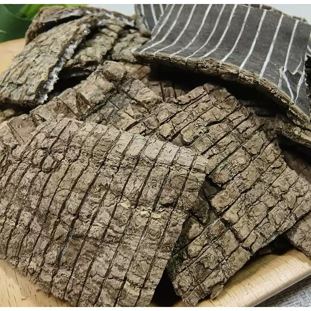 Sichuan Selected Cortex Eucommiae 600g — view 3
