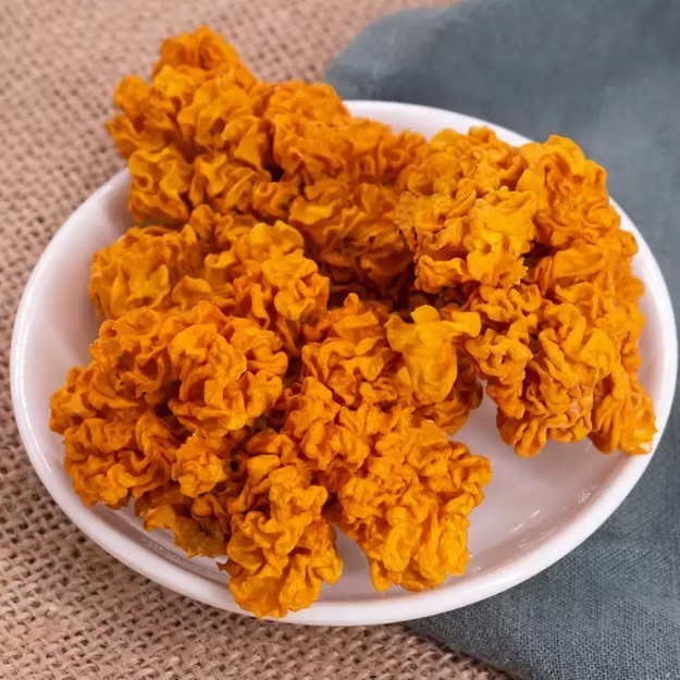 Golden Fungus 100g — view 4
