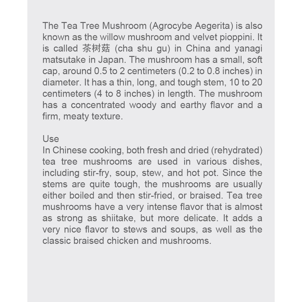 Tea Tree Mushroom 150g — view 5