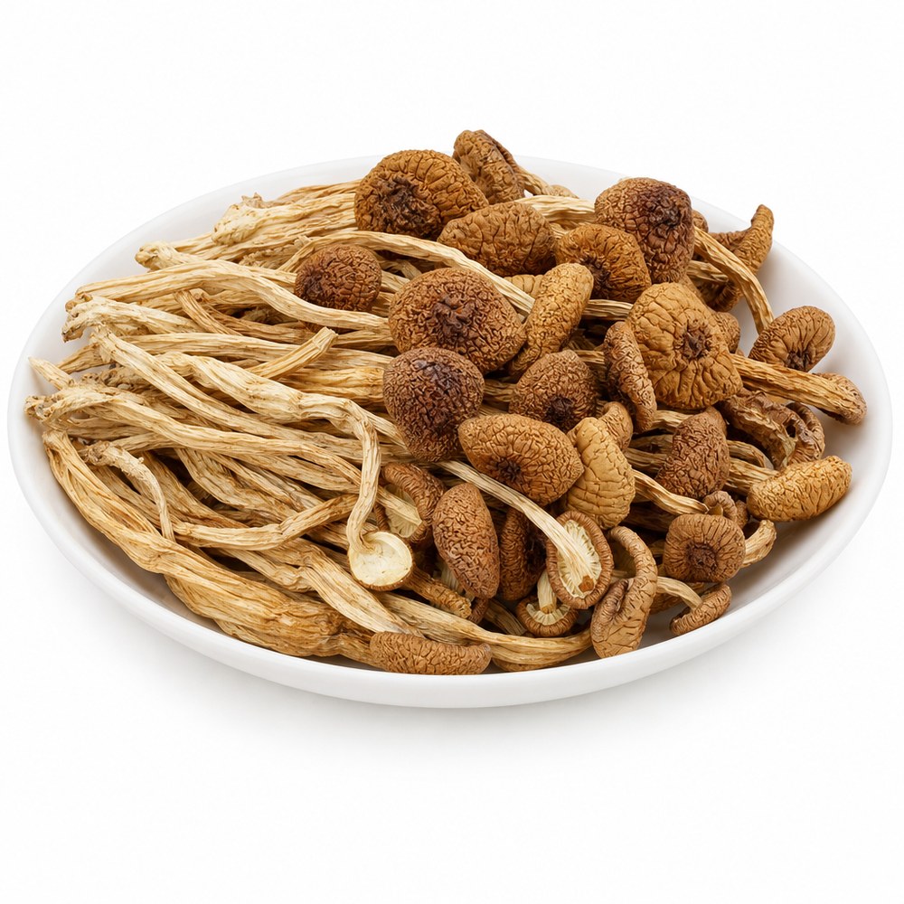 Tea Tree Mushroom 150g