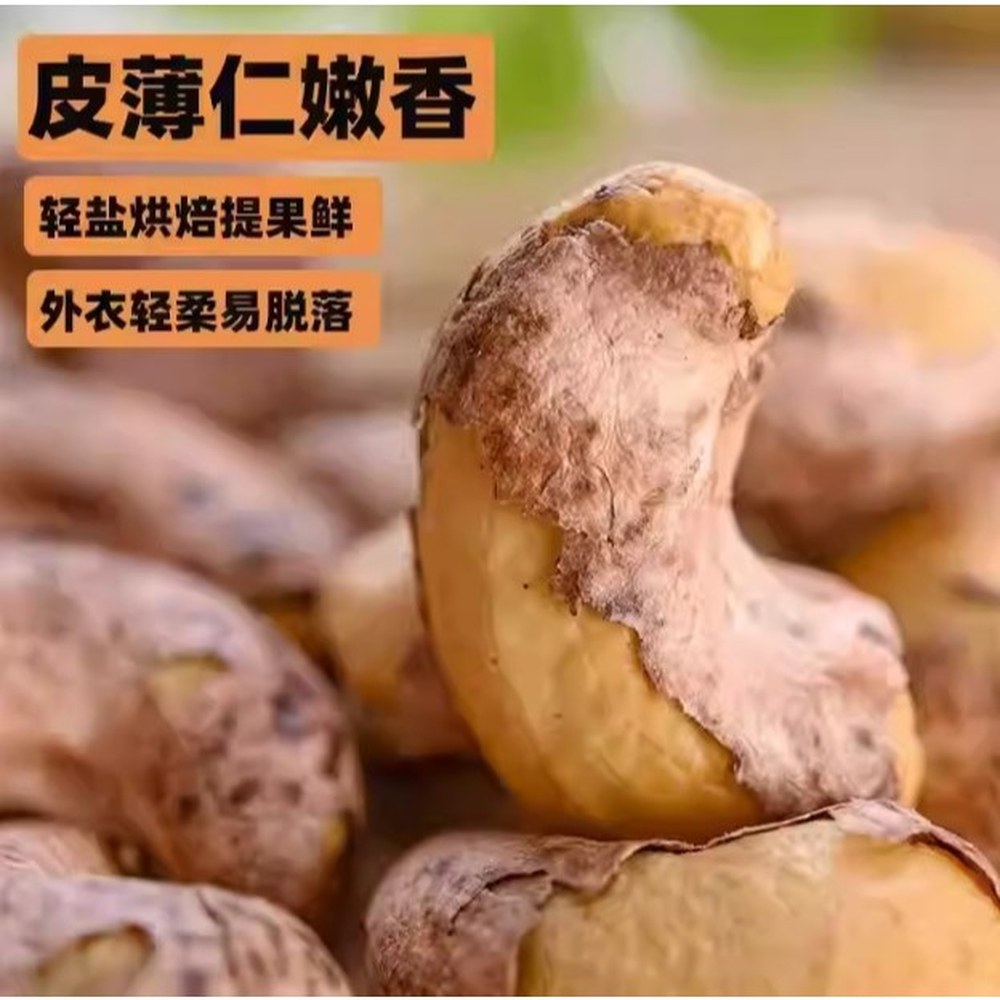 Roasted Cashew Nuts 500g — view 2
