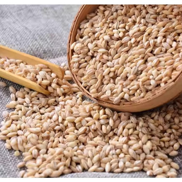 Barley 500g / Wheat Kernels 500g — view 3