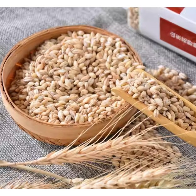 Barley 500g / Wheat Kernels 500g — view 4