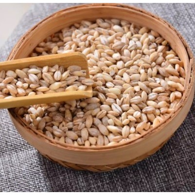 Barley 500g / Wheat Kernels 500g — view 5