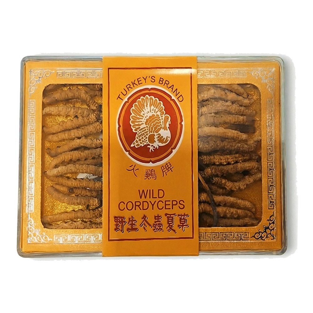 Wild Cordyceps 10g — view 2