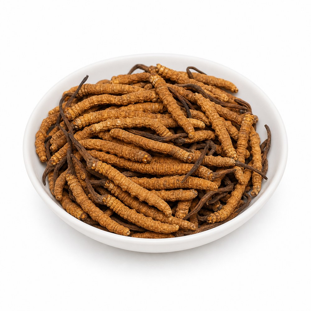 Wild Cordyceps 10g