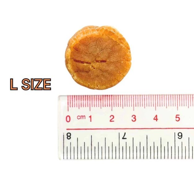 CNY Gift One Sunny Premium Dried Hokkaido Scallops (Size L) 140g — view 4