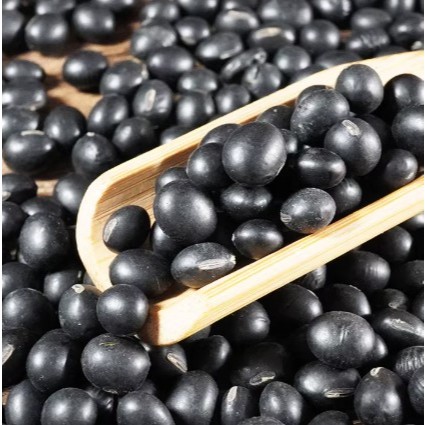 Organic Black Soybean with Green Kernels 500gX2Packs — view 3