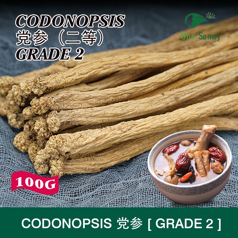 Codonopsis (Dang Shen) 100g Grade 2 — view 3