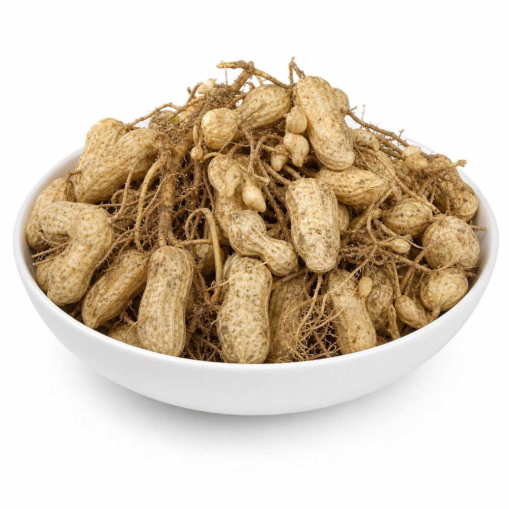 Peanut 500g