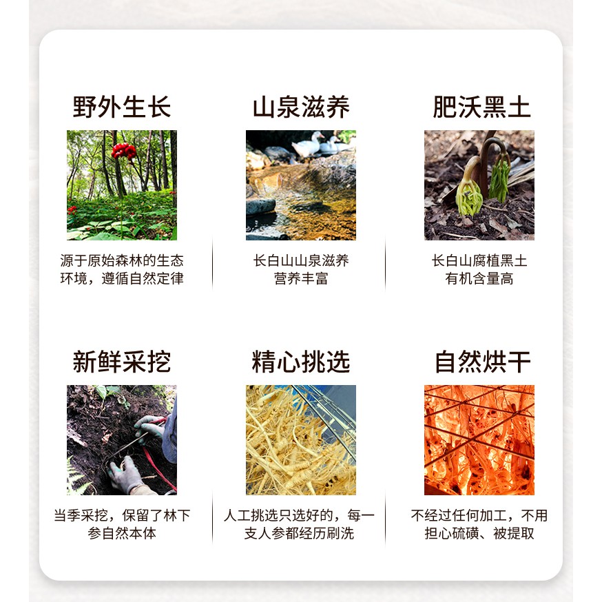 Chang BAI Shan Lin Xia Panax ginseng 37.5g / Around 15-17pc — view 6