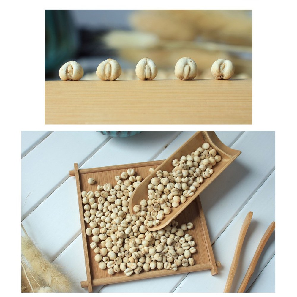 Fritillaria Bulbs 37.5g — view 2